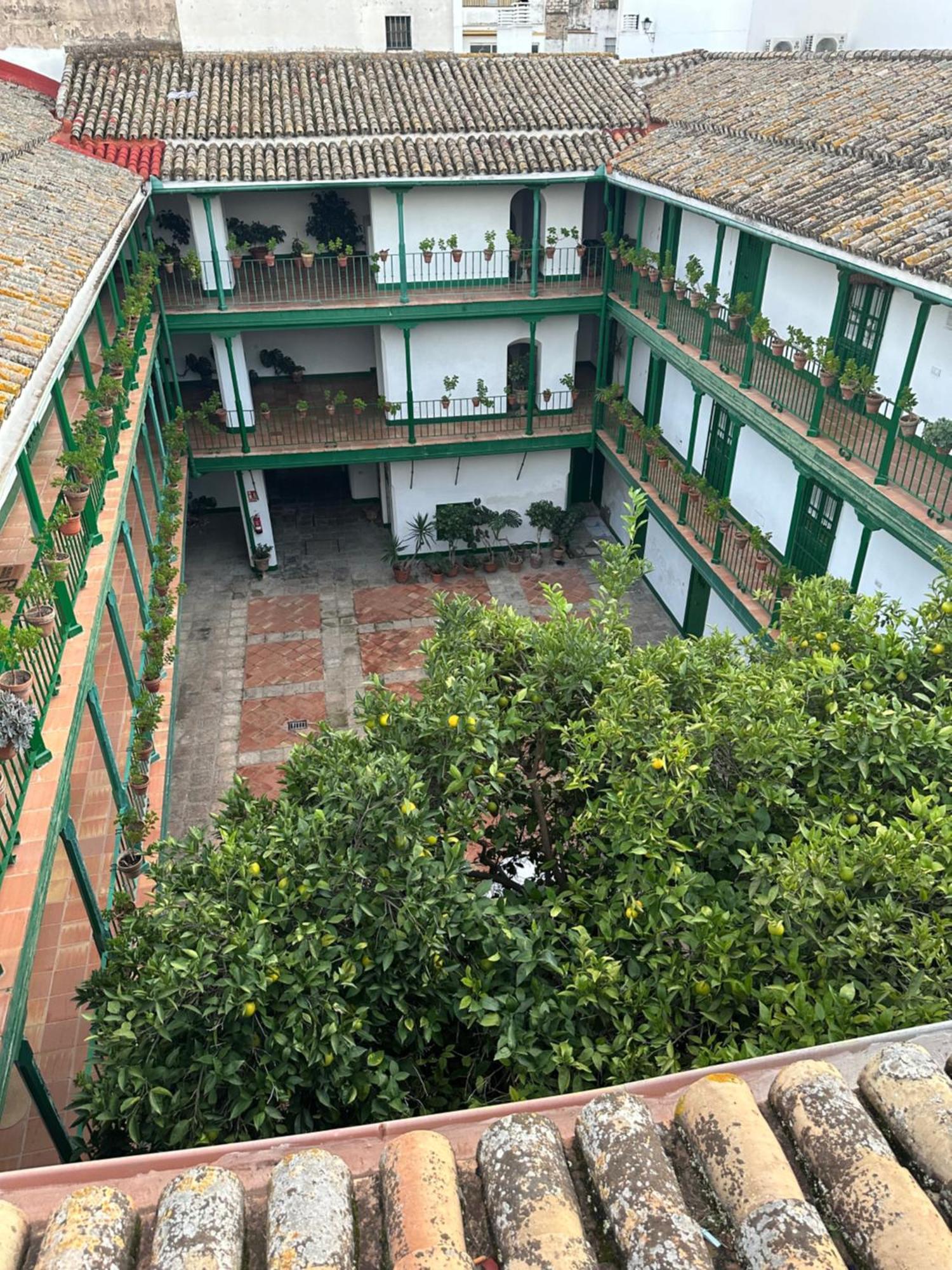 Casa Duque Compartida Familiar 1-Habitacion Con Bano Propio Sevilla Bagian luar foto